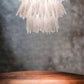 Crystalized Frosted Glass Shells chandelier light